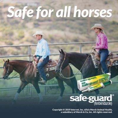 Image showing  Horse Dewormer Paste, 25g