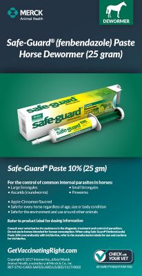 Merck Safeguard Beef Dairy Cattle Equine Wormer Paste 92g 1 Tube Exp 2022 for sale online