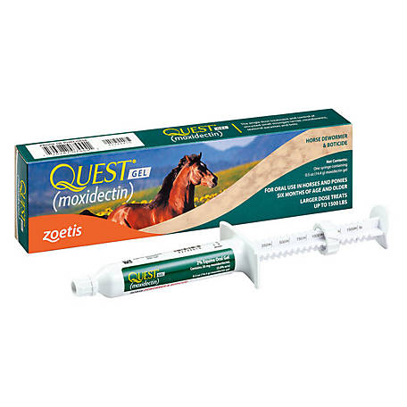 Zoetis QUEST Gel Dewormer and Boticide for Horses, 14.4g
