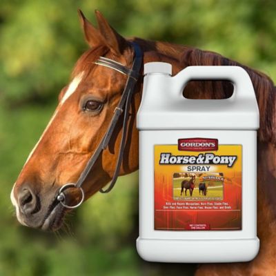 Image showing  Horse and Pony Insecticide Spray, 1 gal.
