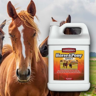 Image showing  Horse and Pony Insecticide Spray, 1 gal.