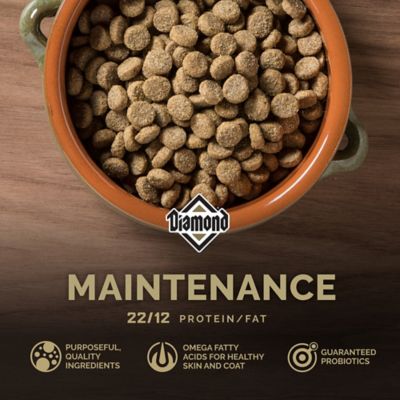 Image showing  Adult Maintenance Formula Chicken Recipe Dry Dog Food