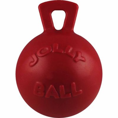 Horsemen's Pride Jolly Ball Dual Dog and Horse Toy, 8 in. great water toy