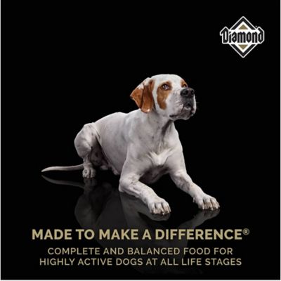 Image showing  Performance All Life Stages Chicken Formula Dry Dog Food, 40 lb. Bag