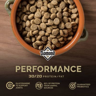 Image showing  Performance All Life Stages Chicken Formula Dry Dog Food, 40 lb. Bag