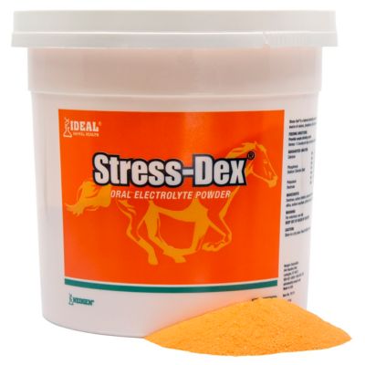Image showing  Stress Dex Electric Electrolyte Horse Supplement Powder, 4 lb.