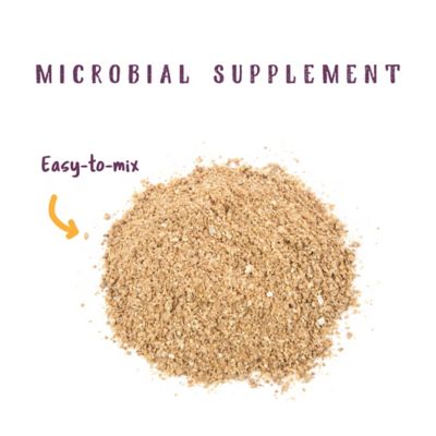 Image showing  Optizyme Probiotic Crumbled Horse Supplement, 3 lb.