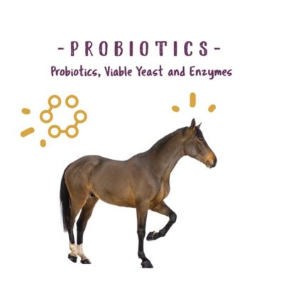 Image showing  Optizyme Probiotic Crumbled Horse Supplement, 3 lb.