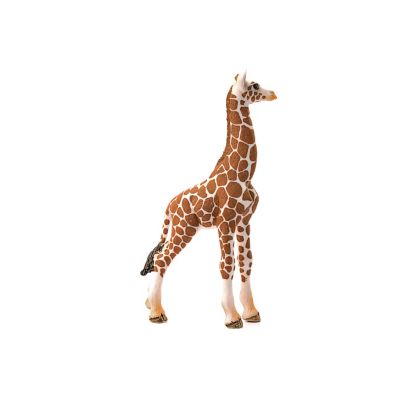 Image showing  Giraffe Calf Toy Figurine