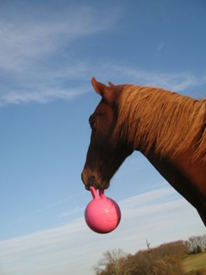 Image showing Peppermint Scented Jolly Ball Horse Toy, 10 in.