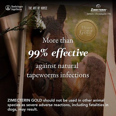 Image showing  Gold Horse Dewormer Paste, 7.35g