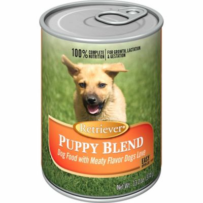 retriever dog food