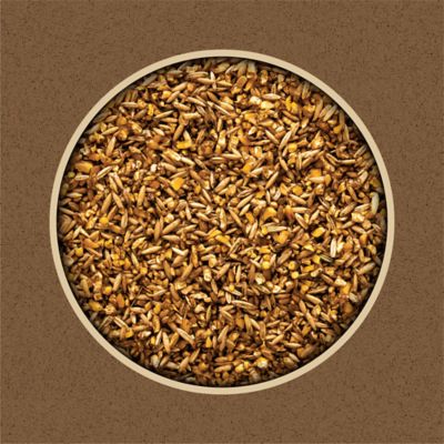 Image showing  All-Grain Goat and Sheep Livestock Feed