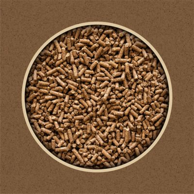 Image showing  12% All Stock Pelleted Livestock Feed