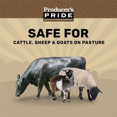 Image showing  12% All Stock Pelleted Livestock Feed