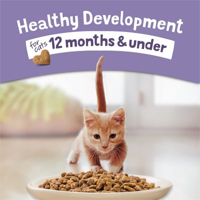 Image showing 5 th Purina Kitten Chow Indoor/Outdoor Nurture Muscle and Brain Development Farm-Raised Chicken Recipe Dry Cat Food