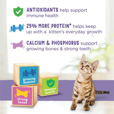 Image showing 6 th Purina Kitten Chow Indoor/Outdoor Nurture Muscle and Brain Development Farm-Raised Chicken Recipe Dry Cat Food