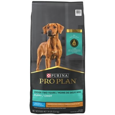 Purina Pro Plan High Protein Large Breed Dry Puppy Food, Chicken and Rice Formula Purina Pro Plan Puppy Food for Large Breed Dogs