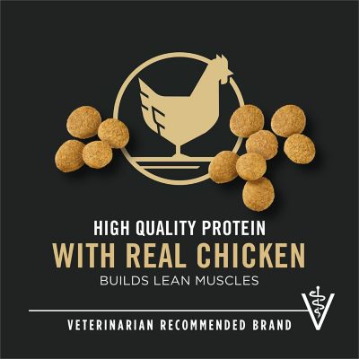 Image showing  Large Breed Puppy Chicken and Rice Formula Dry Dog Food