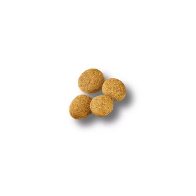 Image showing  Large Breed Puppy Chicken and Rice Formula Dry Dog Food