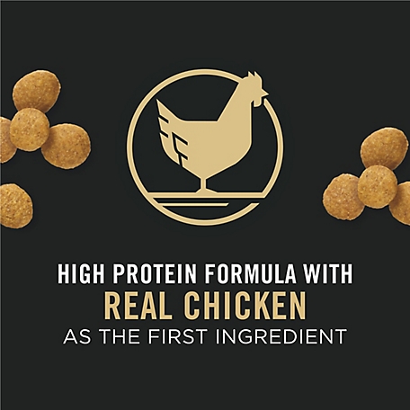 Purina Pro Plan Puppy Large Breed Chicken & Rice Formula – Paramus NJ,  Poughkipsee NY, Succasunna NJ, Scarsdale NY