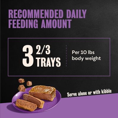 Image showing 9 th Cesar Adult Small Breed Filet Mignon Classic Loaf in Sauce Wet Dog Food, 3.5 oz.