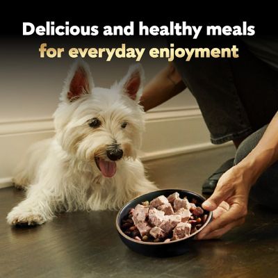 Image showing 6 th Cesar Adult Small Breed Chicken and Liver Classic Loaf in Sauce Wet Dog Food, 3.5 oz.