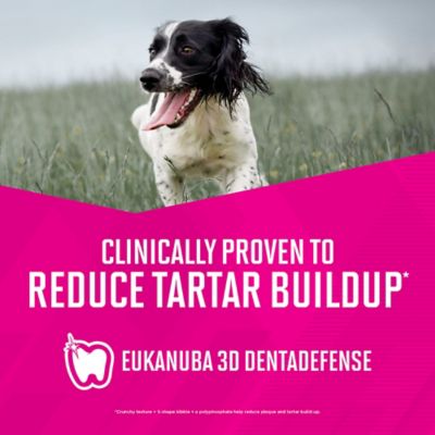 Image showing 7 th Eukanuba Adult Large Breed Chicken Dry Dog Food