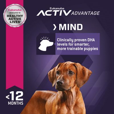 Image showing  Puppy Large Breed Chicken Formula Dry Dog Food