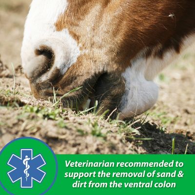 Image showing  Sand Clear Crumbled Horse Supplement, 3.75 lb.