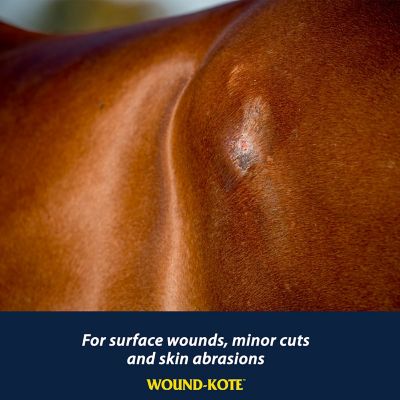 Image showing  Wound-Kote Blue Lotion Spray Wound Dressing for Horses, Cattles and More, 7 oz.
