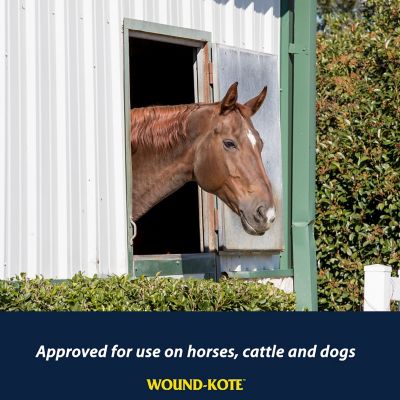 Image showing  Wound-Kote Blue Lotion Spray Wound Dressing for Horses, Cattles and More, 7 oz.
