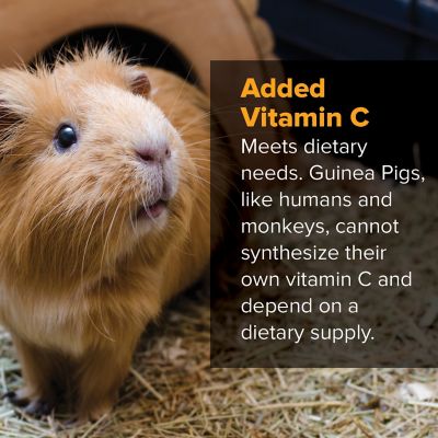 Image showing  Pelleted Guinea Pig Food, 50 lb. Bag