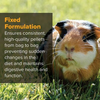 Image showing  Pelleted Guinea Pig Food, 50 lb. Bag