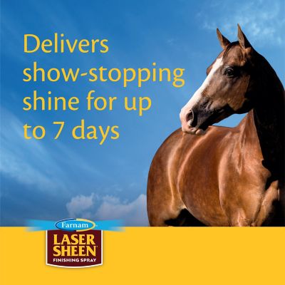 Equestrian Sports Farnam 45912 Laser Sheen Detangler 12-ounce for sale online 