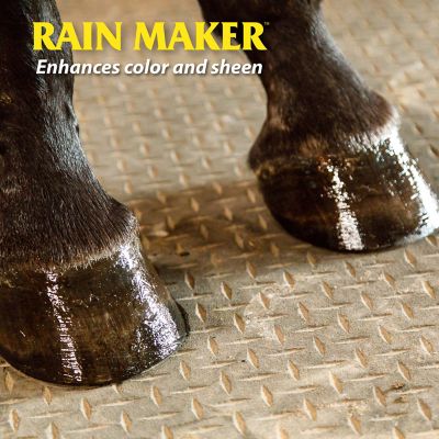 Image showing  Rain Maker Triple Action Horse Hoof Moisturizer and Conditioner, 32 oz.