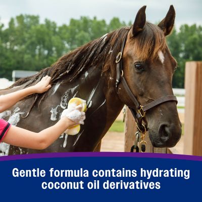 Image showing  Vetrolin White 'N Brite Horse Shampoo, 32 oz.