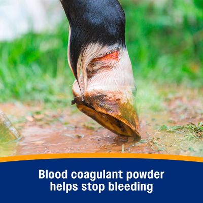 Image showing  Wonder Dust Animal Wound Powder, 4 oz.