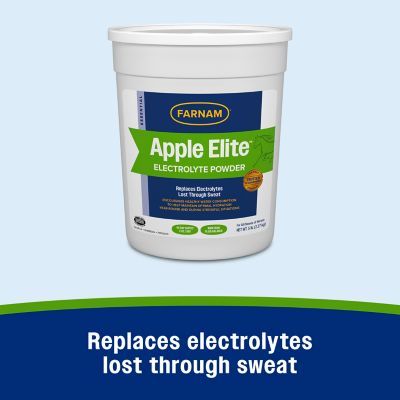 Image showing  Elite Electrolytes Horse Supplement, 5.38 lb.