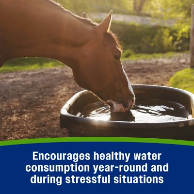 Image showing  Elite Electrolytes Horse Supplement, 5.38 lb.