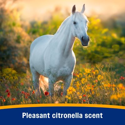 Image showing  Bronco E Equine Fly Spray Plus Citronella Scent, 1 qt.