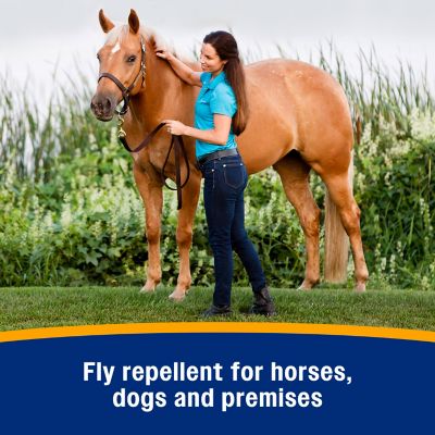 Image showing  Bronco E Equine Fly Spray Plus Citronella Scent, 1 qt.