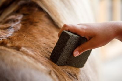 Image showing  Slick 'N Easy Horse Grooming Block