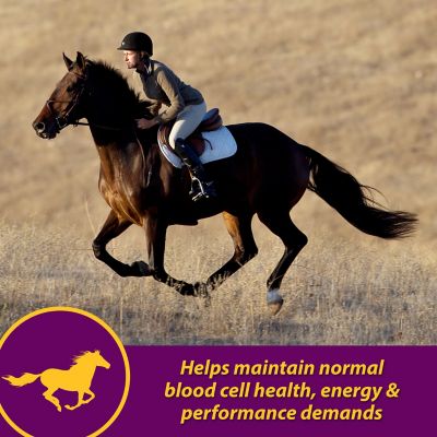 Image showing  Red Cell Iron-Rich Horse Supplement, 1 gal.