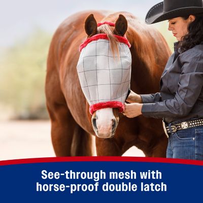 Image showing  Super Mask II Fly Mask without Ears