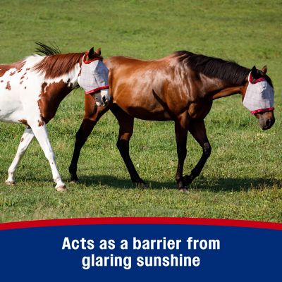 Image showing  Super Mask II Fly Mask without Ears