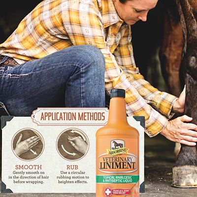 Image showing  Veterinary Horse Liniment, 16 oz.