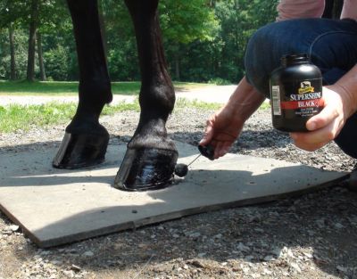 Image showing  SuperShine Horse Hoof Polish and Sealer, 8 oz.