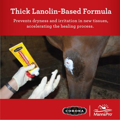 Image showing  Multi-Purpose Horse Ointment, 7 oz.