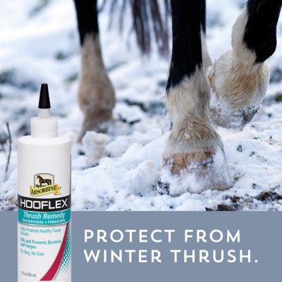 Image showing  Hooflex Thrush Remedy, 12 fl. oz.